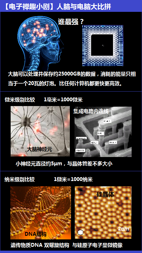 【电子禅趣小剧】人脑电脑大比拼